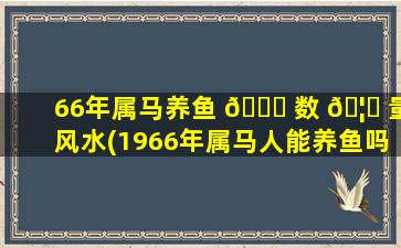 66年属马养鱼 💐 数 🦅 量风水(1966年属马人能养鱼吗吉利吗)